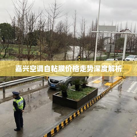 嘉兴空调自粘膜价格走势深度解析