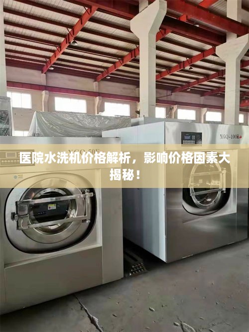医院水洗机价格解析，影响价格因素大揭秘！