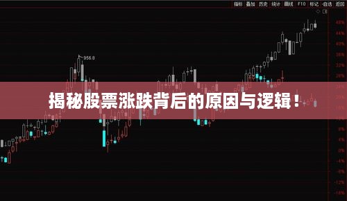 揭秘股票涨跌背后的原因与逻辑！