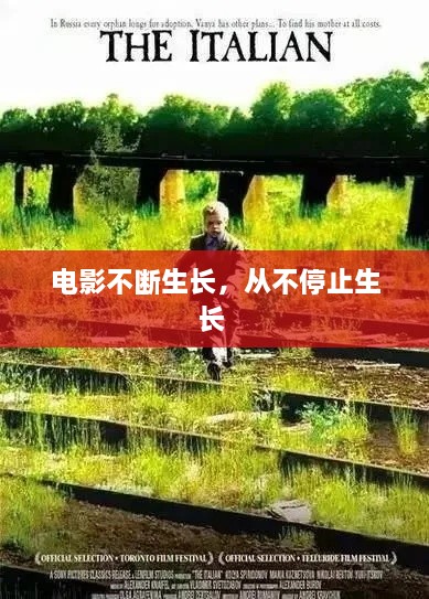产品中心 第62页