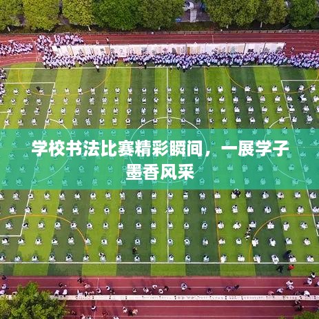 学校书法比赛精彩瞬间，一展学子墨香风采