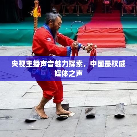 央视主播声音魅力探索，中国最权威媒体之声