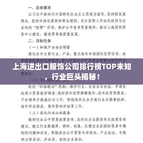 上海进出口服饰公司排行榜TOP未知，行业巨头揭秘！