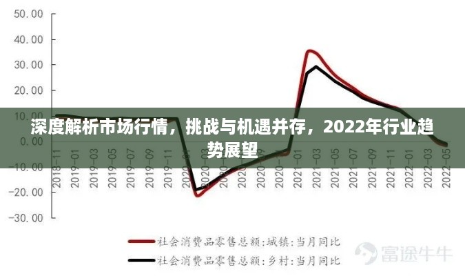 深度解析市场行情，挑战与机遇并存，2022年行业趋势展望