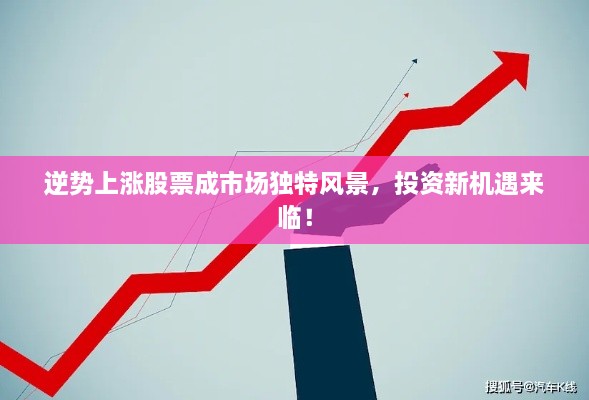 逆势上涨股票成市场独特风景，投资新机遇来临！