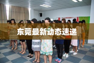 东莞最新动态速递
