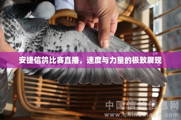 心慌意乱 第2页