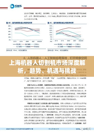 上海机器人切割机市场深度解析，趋势、机遇与挑战