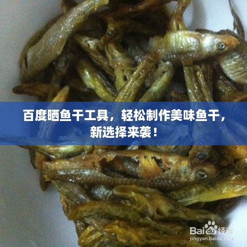 百度晒鱼干工具，轻松制作美味鱼干，新选择来袭！