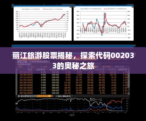 丽江旅游股票揭秘，探索代码002033的奥秘之旅