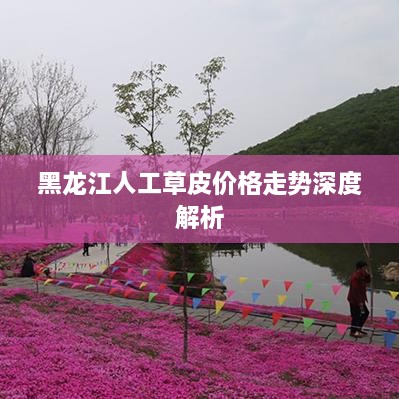 发硎新试