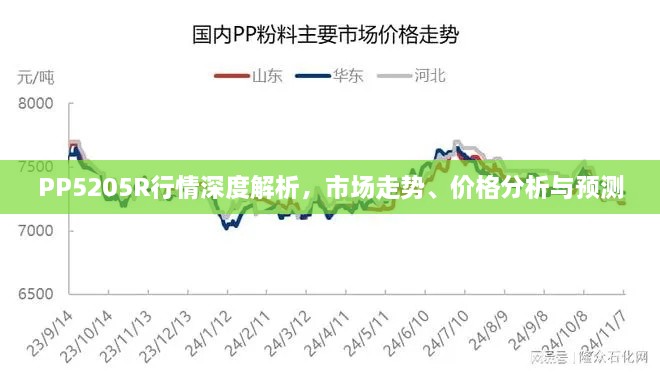 PP5205R行情深度解析，市场走势、价格分析与预测