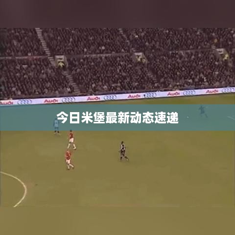 今日米堡最新动态速递