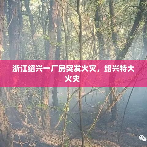 浙江绍兴一厂房突发火灾，绍兴特大火灾 