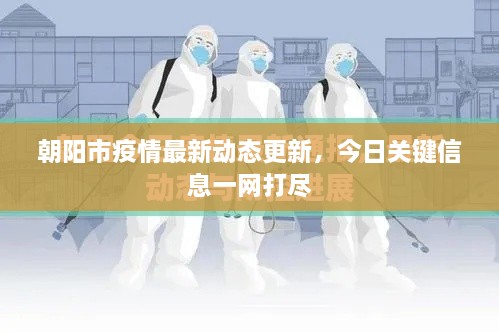 朝阳市疫情最新动态更新，今日关键信息一网打尽