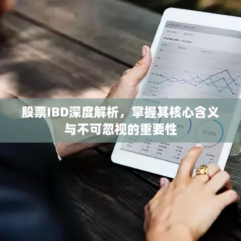 股票IBD深度解析，掌握其核心含义与不可忽视的重要性