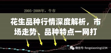 花生品种行情深度解析，市场走势、品种特点一网打尽！