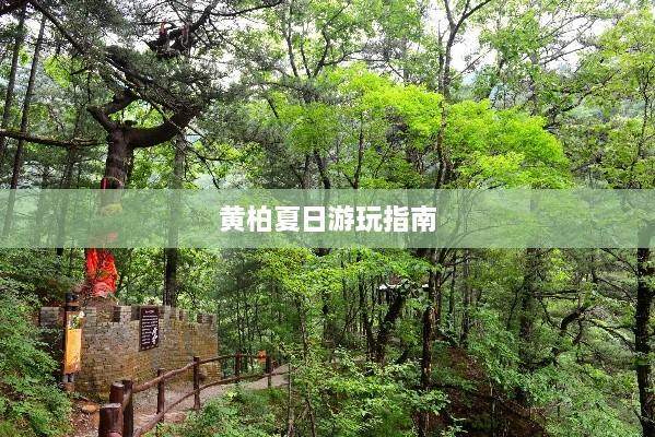 黄柏夏日游玩指南