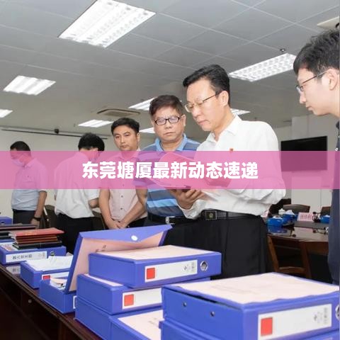 东莞塘厦最新动态速递