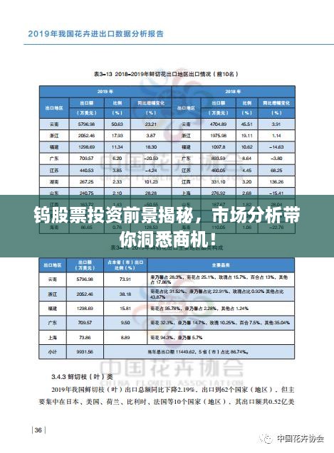 钨股票投资前景揭秘，市场分析带你洞悉商机！