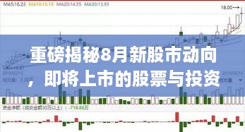 重磅揭秘8月新股市动向，即将上市的股票与投资机会一网打尽！