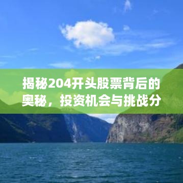 揭秘204开头股票背后的奥秘，投资机会与挑战分析