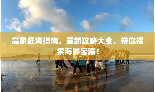 高明赶海指南，最新攻略大全，带你探索海鲜宝藏！