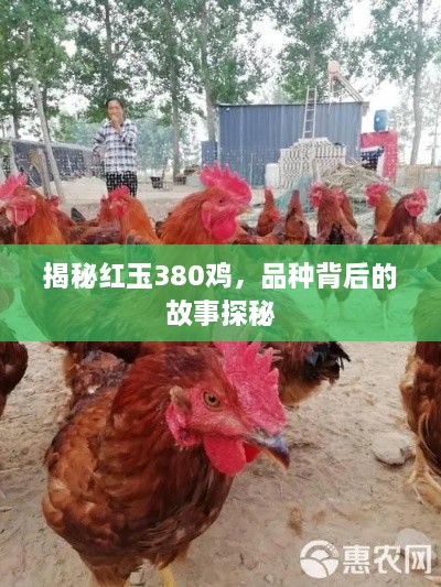 联系我们 第27页