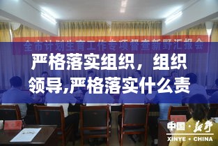 严格落实组织，组织领导,严格落实什么责任加强谋划 