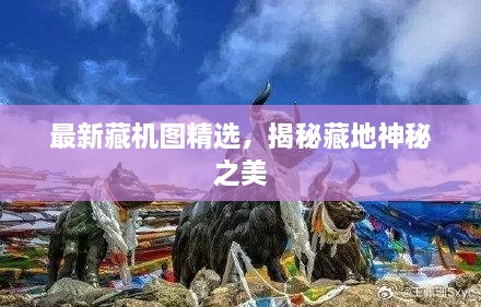 最新藏机图精选，揭秘藏地神秘之美