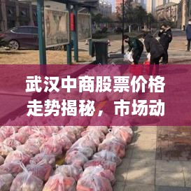 武汉中商股票价格走势揭秘，市场动向与投资者焦点关注