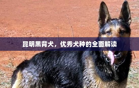 初告白