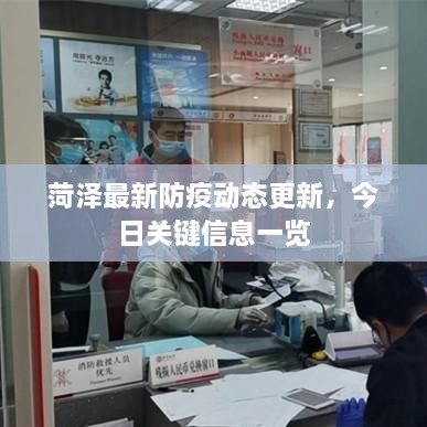 菏泽最新防疫动态更新，今日关键信息一览