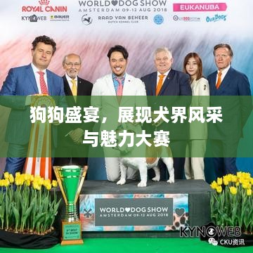 工程案例 第22页