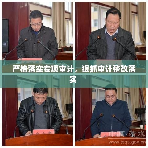严格落实专项审计，狠抓审计整改落实 