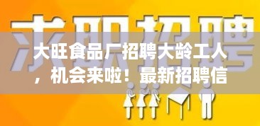 盘扣脚手架租赁 第19页