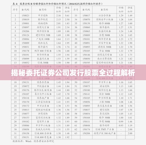 揭秘委托证券公司发行股票全过程解析