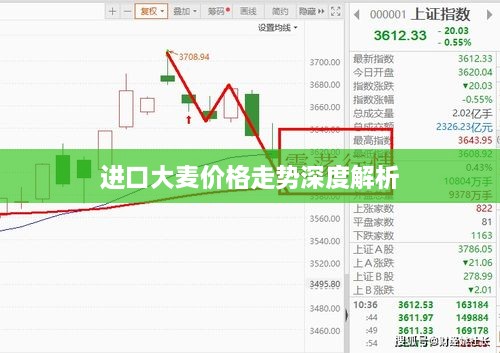 进口大麦价格走势深度解析