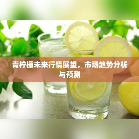青柠檬未来行情展望，市场趋势分析与预测