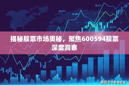 揭秘股票市场奥秘，聚焦600594股票深度洞察