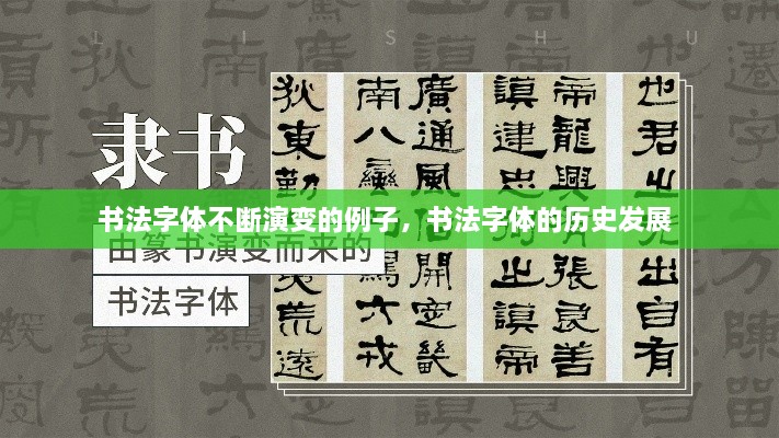 公司简介 第12页
