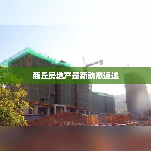 xueguiyouyi