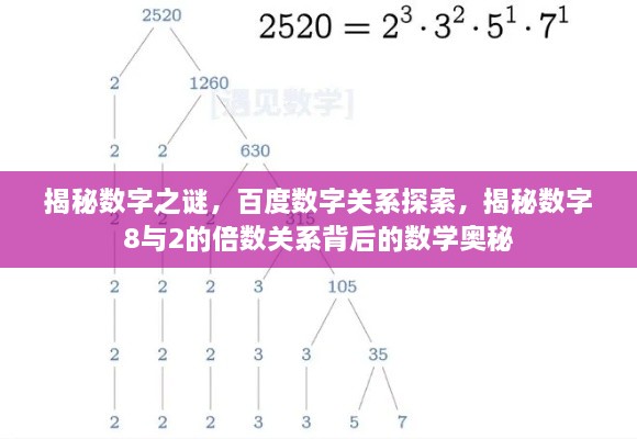 揭秘数字之谜，百度数字关系探索，揭秘数字8与2的倍数关系背后的数学奥秘