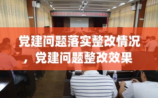 党建问题落实整改情况，党建问题整改效果 