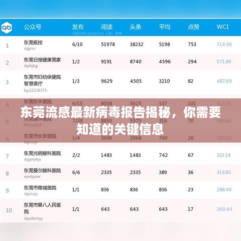 东莞流感最新病毒报告揭秘，你需要知道的关键信息