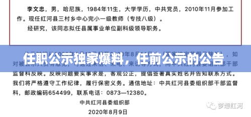 任职公示独家爆料，任前公示的公告 