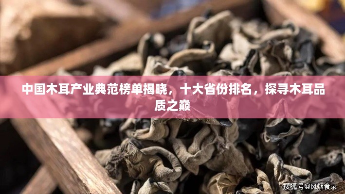 中国木耳产业典范榜单揭晓，十大省份排名，探寻木耳品质之巅