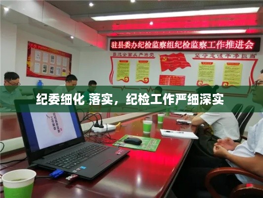 纪委细化 落实，纪检工作严细深实 