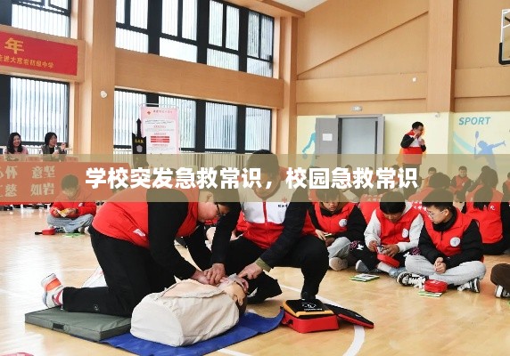 学校突发急救常识，校园急救常识 