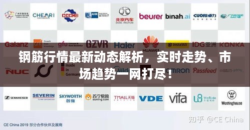 钢筋行情最新动态解析，实时走势、市场趋势一网打尽！